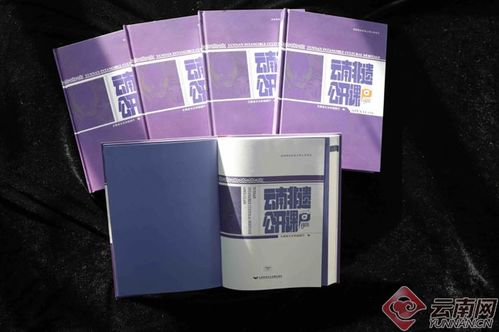 古韻新傳 云南非遺公開課音像制品全國發行